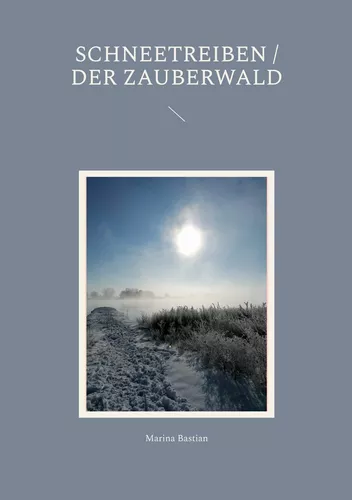 Schneetreiben / Der Zauberwald