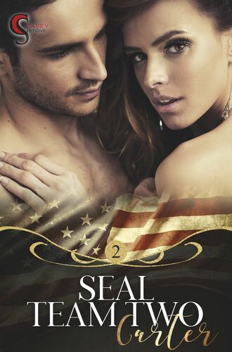 Seal Team Two