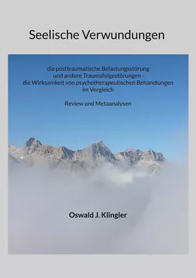 Seelische Verwundungen:  die posttraumatische Belastungsstörung und andere Traumafolgestörungen - die Wirksamkeit psychotherapeutischer Methoden im Vergleich