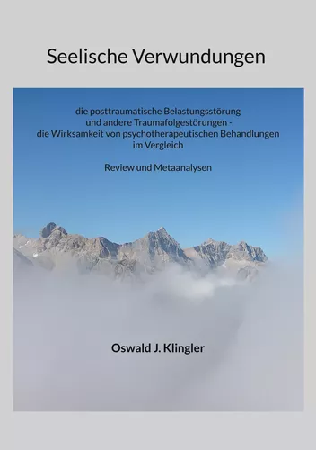Seelische Verwundungen: die posttraumatische Belastungsstörung und andere Traumafolgestörungen - die Wirksamkeit psychotherapeutischer Methoden im Vergleich