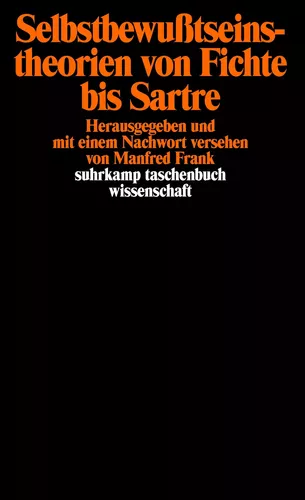 Selbstbewußtseinstheorien von Fichte bis Sartre