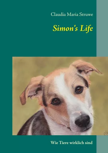 Simon's Life