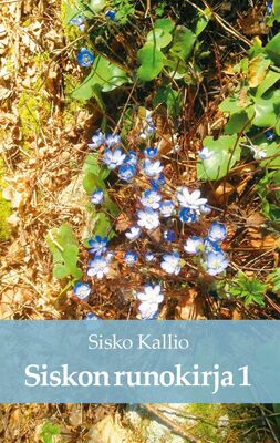 Siskon runokirja I