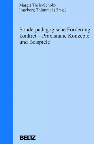 Sonderpädagogische Förderung konkret