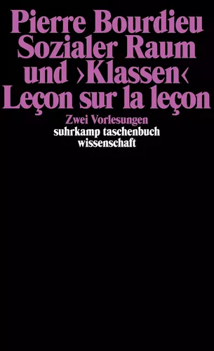 Sozialer Raum und »Klassen«