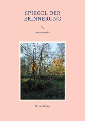 Spiegel der Erinnerung