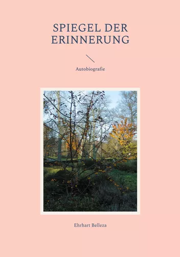 Spiegel der Erinnerung