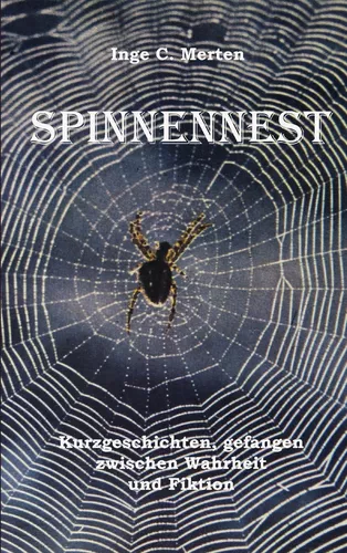 Spinnennest