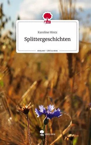 Splittergeschichten. Life is a Story - story.one