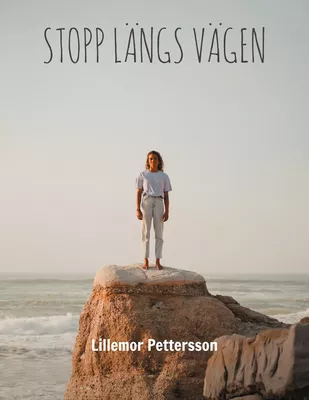 Stopp Längs Vägen