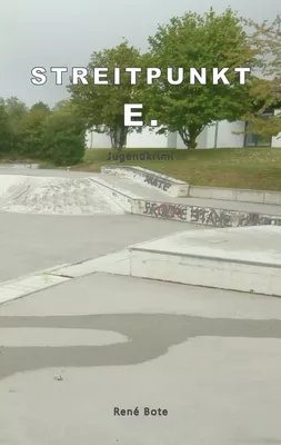 Streitpunkt E.