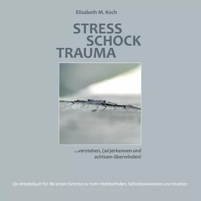 Stress Schock Trauma ... verstehen, (an)erkennen und achtsam überwinden