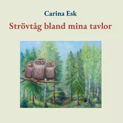 Strövtåg bland mina tavlor