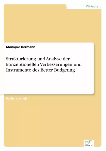 Strukturierung und Analyse der konzeptionellen Verbesserungen und Instrumente des Better Budgeting