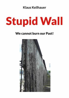 Stupid Wall