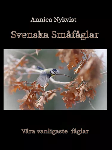 Svenska Småfåglar