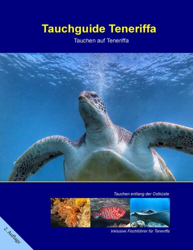 Tauchguide Teneriffa