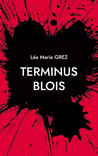 Terminus Blois