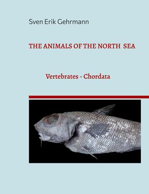 The Animals Of The North Sea 1