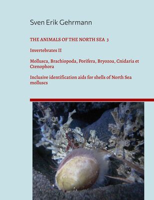 The Animals Of The North Sea 3