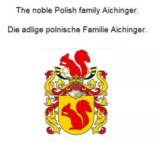 The noble Polish family Aichinger. Die adlige polnische Familie Aichinger.