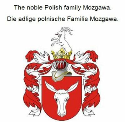 The noble Polish family Mozgawa. Die adlige polnische Familie Mozgawa.