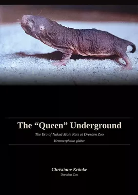 The Queen Underground