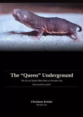 The Queen Underground