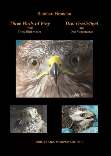 Three Birds of Prey - Drei Greifvögel
