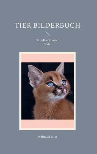 Tier Bilderbuch