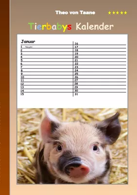 Tierbabys - Kalender