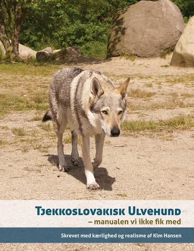 Tjekkoslovakisk ulvehund