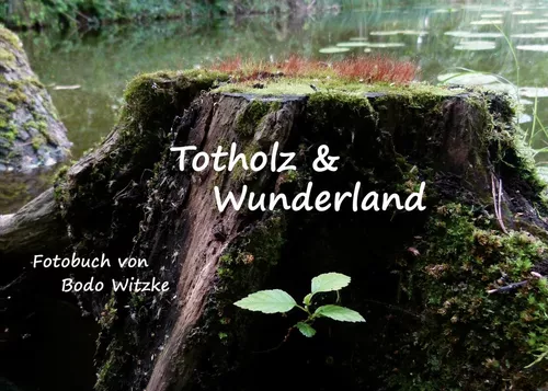 Totholz & Wunderland