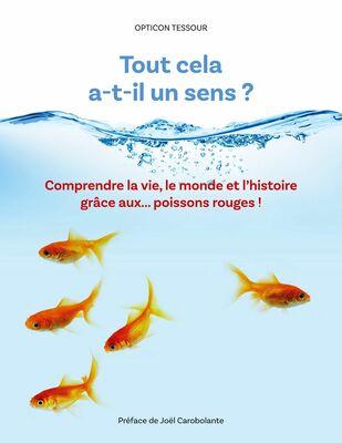 Tout cela a-t-il un sens ?