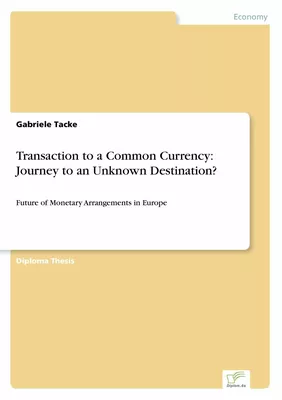 Transaction to a Common Currency: Journey to an Unknown Destination?