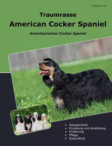 Traumrasse American Cocker Spaniel