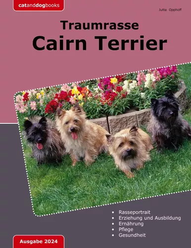 Traumrasse Cairn Terrier