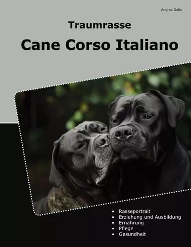 Traumrasse Cane Corso Italiano