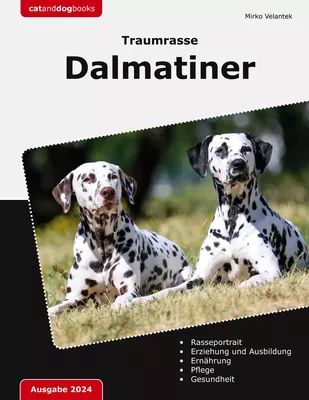 Traumrasse: Dalmatiner
