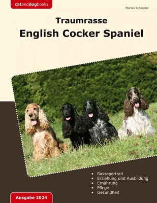 Traumrasse English Cocker Spaniel