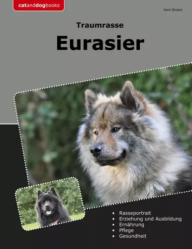 Traumrasse Eurasier