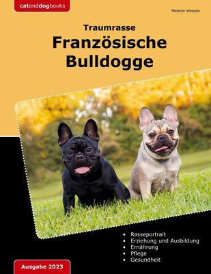 Traumrasse: Französische Bulldogge