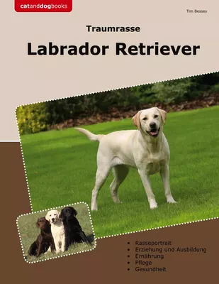 Traumrasse Labrador Retriever
