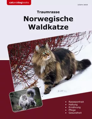 Traumrasse Norwegische Waldkatze