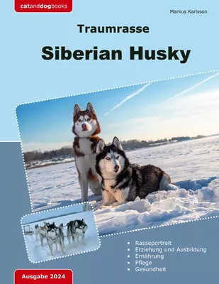 Traumrasse: Siberian Husky