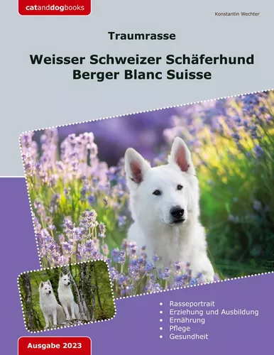 Traumrasse: Weisser Schweizer Schäferhund