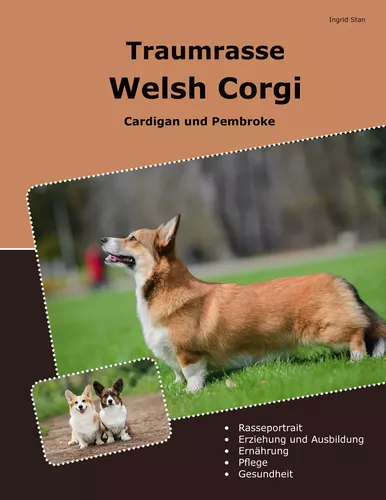 Traumrasse Welsh Corgi