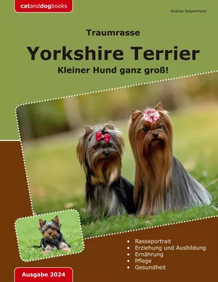 Traumrasse: Yorkshire Terrier