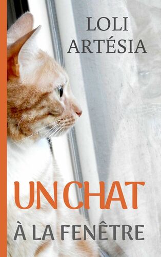 Un chat à la fenêtre