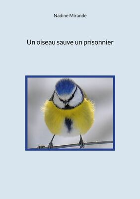 Un oiseau sauve un prisonnier